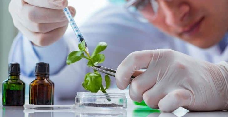 بائیوٹیکنالوجی میں کیریئر