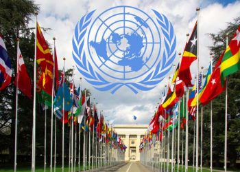 مسلم فوبیا کا جواب دینے کے لیے ڈی8ممالک متحد