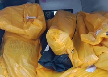 دردناک منظر!ایمبولینس میں 22 کورونا مریضوں کی لاشیں