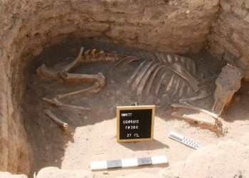 مصرمیں کھدائیوں کے دوران زیرزمین شہر کی باقیات دریافت