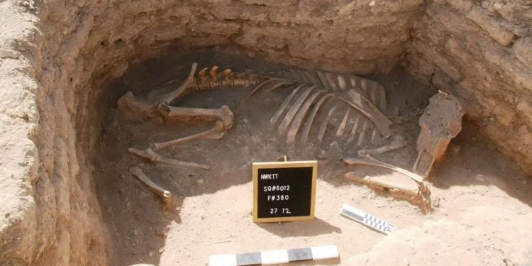 مصرمیں کھدائیوں کے دوران زیرزمین شہر کی باقیات دریافت