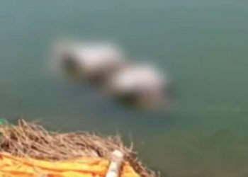 دردناک: بکسر کی گنگا گھاٹ پر لاشوں کا انبار