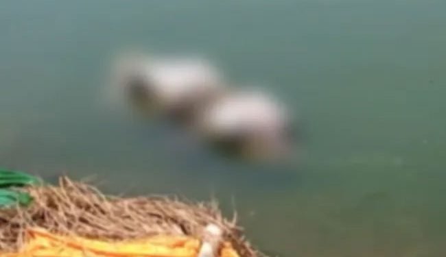دردناک: بکسر کی گنگا گھاٹ پر لاشوں کا انبار