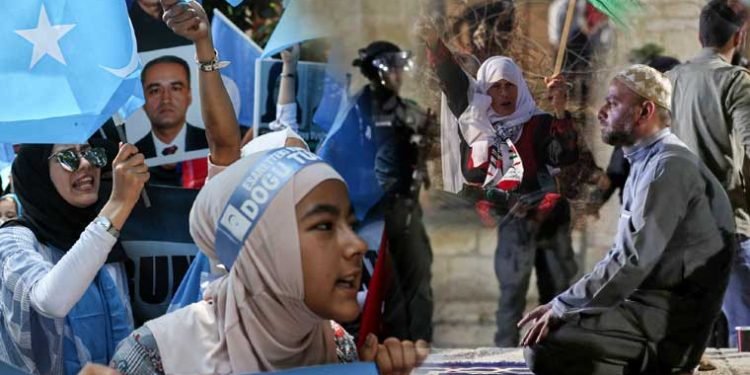 مجروح فلسطین تا ایغور مظلومین! یا رب العالمین