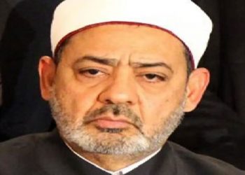 علما تکفیر سمیت 25 جدید مسائل کے اجتہاد پر زور دیں: شیخ الازہر