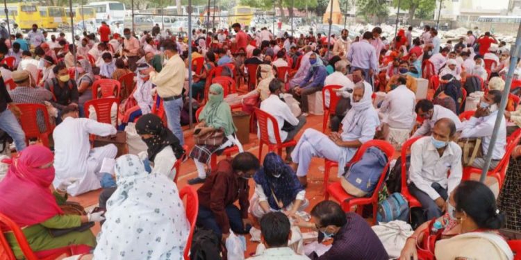 جاٹ لینڈ میں نظر آیا کسان آندولن کا اثر ، بی جے پی کو بھاری نقصان