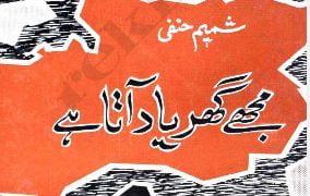 شمیم حنفی کے ڈراموں میں ہمارا سماج نظر آتا ہے