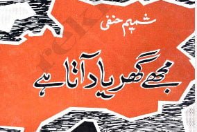 شمیم حنفی کے ڈراموں میں ہمارا سماج نظر آتا ہے