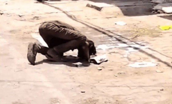 بھوک وبے بسی!سڑک پر گرا دودھ پی گیا نو جوان