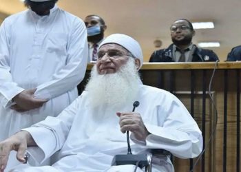 سید قطب شاعر تھے، دین کے معاملے میں ان کا تفقہ کمزور تھا: مصری عالم دین