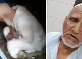 ماب لنچنگ:بزرگ عبدالصمد کی پٹائی، داڑھی بھی کاٹی،جبراً جے شری رام کے نعرے لگوائے، ویڈیو وائرل