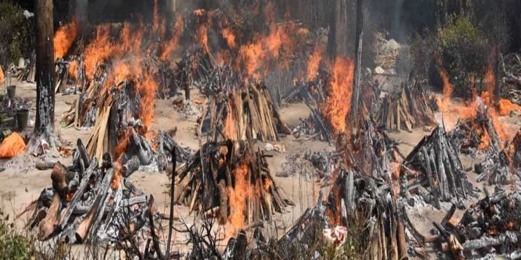 گھاٹوں پر جلی لاشوں کا سچ،چونکا دیں گے اعدادوشمار