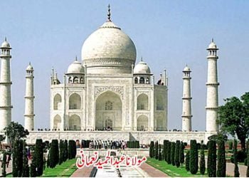 تاریخ و تہذیب کے نام پر ،تہذیب و تاریخ کا انہدام