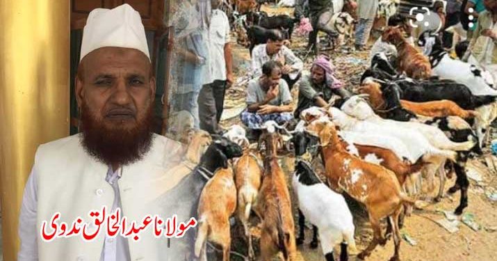 یاد رکھئے!قربانی کے پیسے کسی غریب کو دینے سے قربانی ادا نہیں ہوگی:مولانا عبدالخالق ندوی