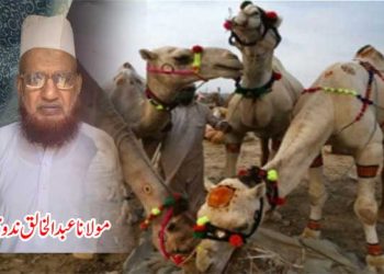 عید الاضحی رب کی اطاعت کا عملی اظہار : مولانا عبد الخالق ندوی