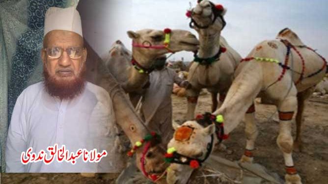 عید الاضحی رب کی اطاعت کا عملی اظہار : مولانا عبد الخالق ندوی