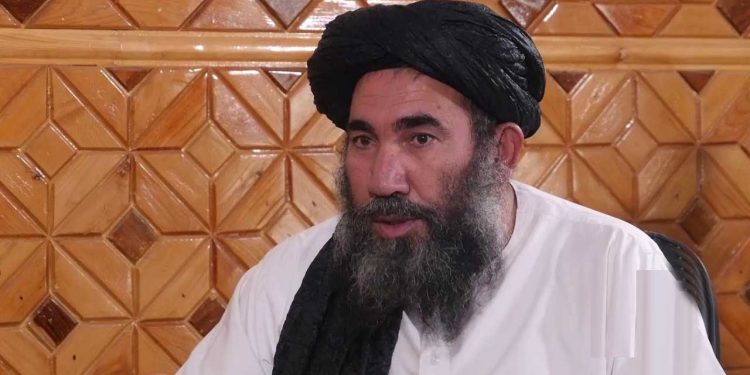 ہندوستانی پہلے سے زیادہ محفوظ رہیں گے: طالبان کی یقین دہانی
