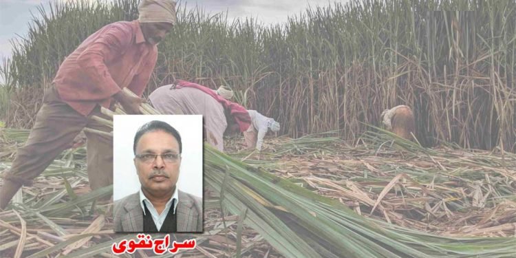 گنے کی قیمتوں پر سیاست اور کسان