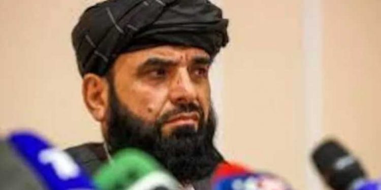 افغانستان میں جمہوریت نہیں شریعت ہوگی، الیکشن جامع حکومت کے بعد :طالبان