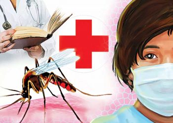 یو پی مہاراشٹر سمیت گیارہ ریاستوں میں ڈینگو وائرس کا خطرناک اسٹین سرگرم