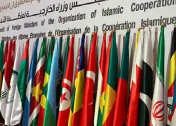 او آئی سی نے کہا :’جموں وکشمیر کا خصوصی درجہ ختم کرنے کا فیصلہ واپس لیا جائے، بھارت کا شدید ردعمل