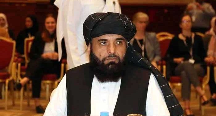 سہیل شاہین اقوام متحدہ میں طالبان کے سفیر نامزد