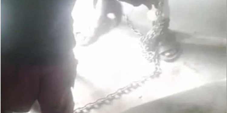 علی گڑھ: مدرسہ میں بچوں کوزنجیر سے جکڑنے کے الزام میں مولوی سمیت دو گرفتار
