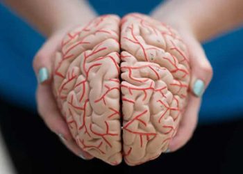 برین فنکشن پر برا اثر ڈال رہے یہ 6 فوڈ ، کم کردیں کھانا