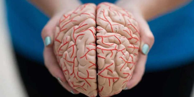 برین فنکشن پر برا اثر ڈال رہے یہ 6 فوڈ ، کم کردیں کھانا