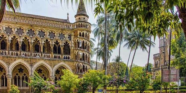 داعش سے مبینہ تعلق کی بنیاد پر گرفتار ضوان کی ضمانت عرضداشت پر ہائی کورٹ سماعت کرے گی