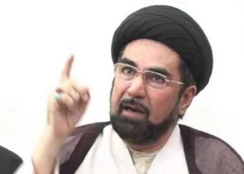 ہندوستان کی تقسیم بڑا غلط فیصلہ تھا: مولانا کلب جواد