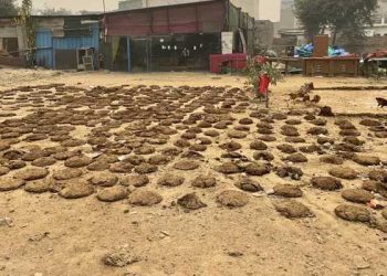 گروگرام: ہندو تنظیموں کی ہٹ دھرمی،نماز کی جگہ سے ’اپلے‘ نہیں اٹھانے دیے