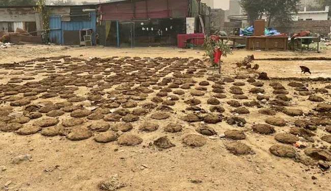 گروگرام: ہندو تنظیموں کی ہٹ دھرمی،نماز کی جگہ سے ’اپلے‘ نہیں اٹھانے دیے