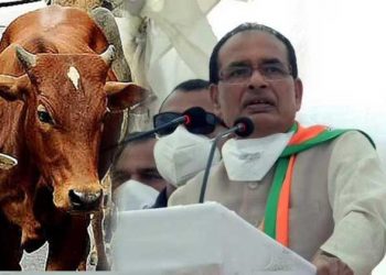 نیا ارتھ شاستر!گئو موتر اور گائے کا گوبربھارت کی معیشت کو مضبوط کرنےمیں مدد کر سکتا ہے: شیوراج
