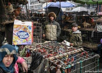 افغانستان کا افراتفری سے بھرا سال اور غیر مستحکم مستقبل