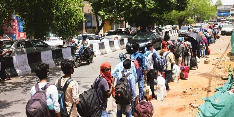 یوپی میں روزگار کی تصویر: یوگی راج میں کام کرنے والوں کی تعداد میں 184 لاکھ کا اضافہ، ایک لاکھ کو ملا کام
