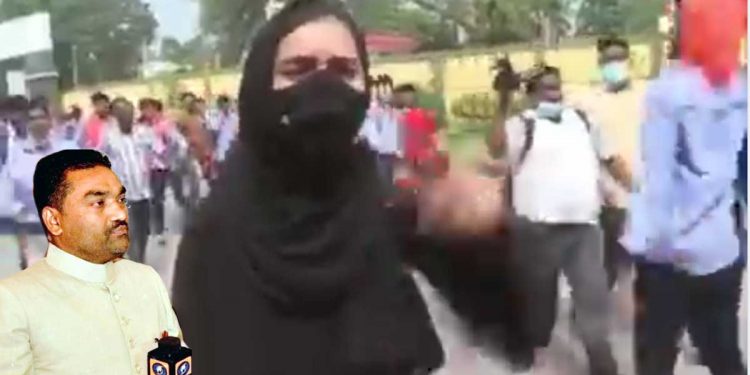 گیدڑوں کو ایک شیرنی کافی ہے!