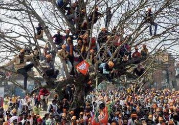 لکھیم پور کھیری میں بی جے پی کا قبضہ ، 8 سیٹوں میں سے 6 پرجیت