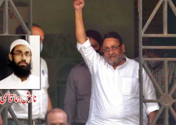 ہاں میں نواب ملک ہوں!