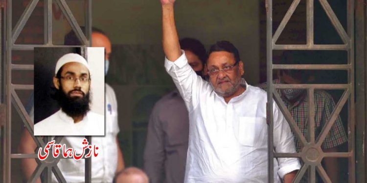 ہاں میں نواب ملک ہوں!