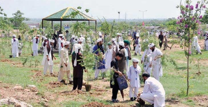 تعلیمی ادارے،طلباء اور والدین مانسون کا استقبال شجر کاری سے کریں:جماعت اسلامی ہند