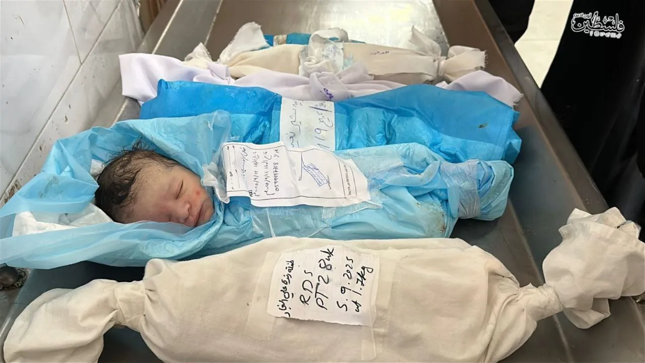 Gaza foreign governance plan backed by some Arab countries