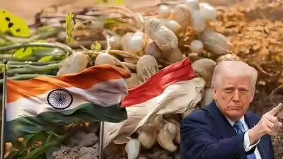 انڈونیشیا نے افلاٹوکسن کے باعث بھارتی مونگ پھلی کی درآمد پر پابندی لگا دی