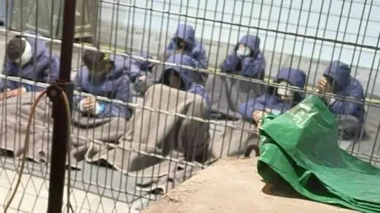 فلسطینی قیدیوں کو حکومت مناسب خوراک نہیں دے رہی: اسرائیلی سپریم کورٹ کی تنبیہ ،غذا بہتر بنانے کا حکم