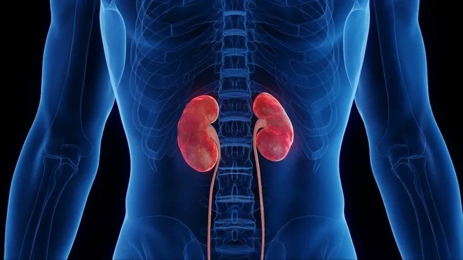 Diabetes Kidney Early Signs